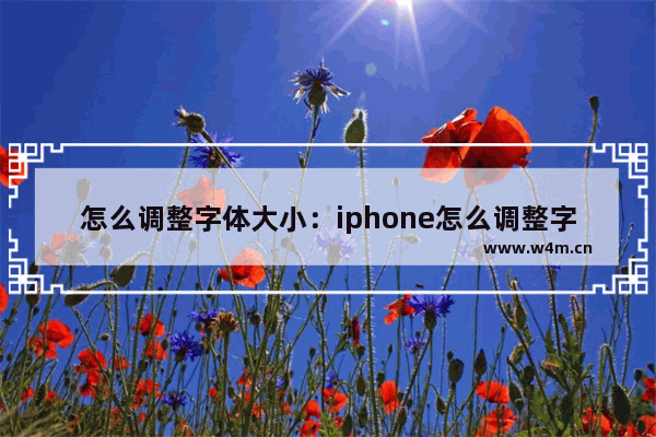 怎么调整字体大小：iphone怎么调整字体大小