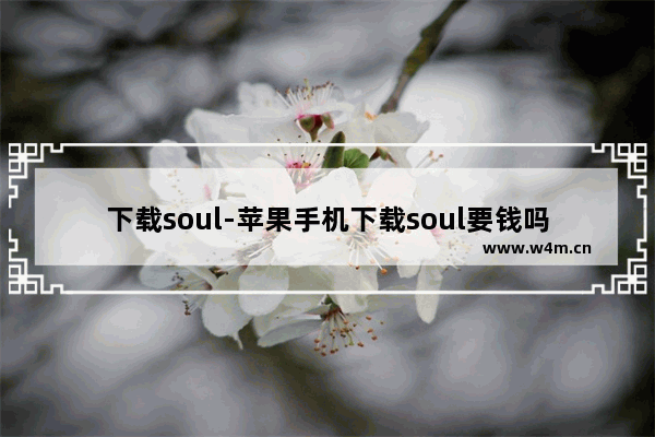 下载soul-苹果手机下载soul要钱吗?