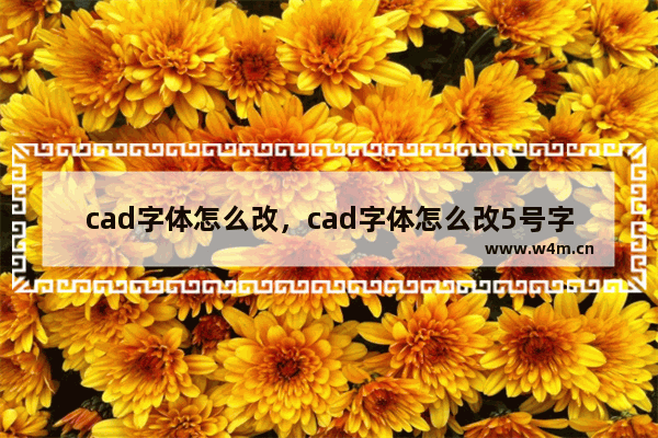 cad字体怎么改，cad字体怎么改5号字