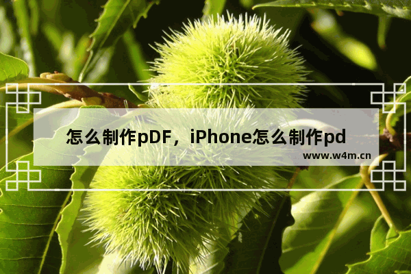 怎么制作pDF，iPhone怎么制作pdf