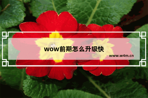 wow前期怎么升级快