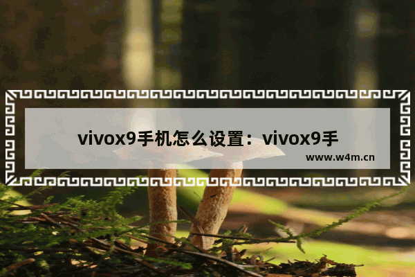 vivox9手机怎么设置：vivox9手机怎么设置时间