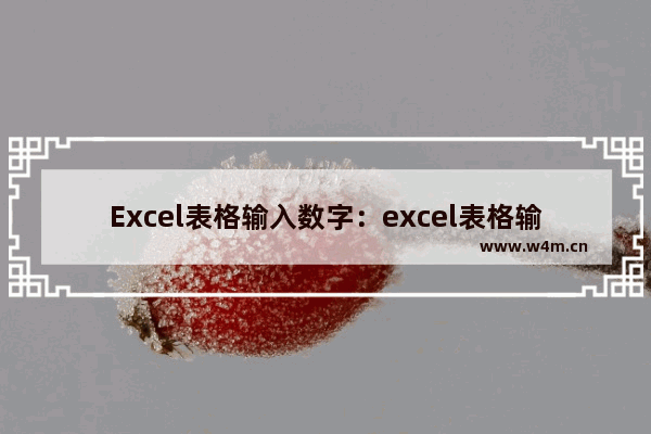 Excel表格输入数字：excel表格输入数字自动变0