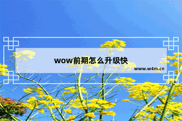 wow前期怎么升级快