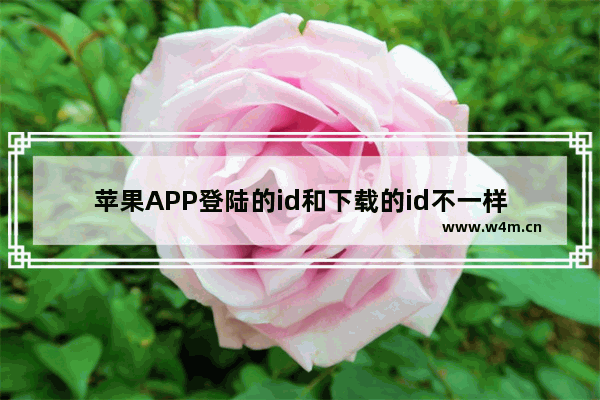 苹果APP登陆的id和下载的id不一样