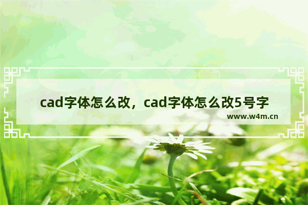 cad字体怎么改，cad字体怎么改5号字