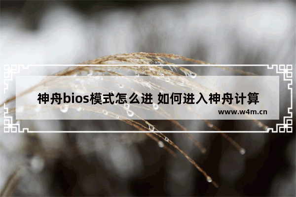 神舟bios模式怎么进 如何进入神舟计算机的BIOS模式