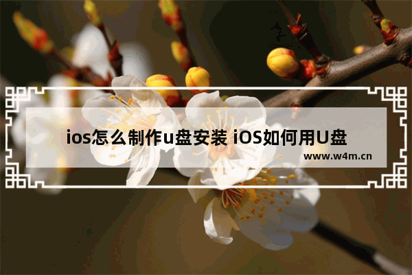 ios怎么制作u盘安装 iOS如何用U盘安装系统