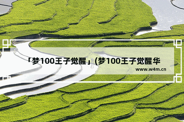 「梦100王子觉醒」(梦100王子觉醒华丽)