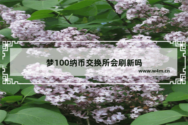 梦100纳币交换所会刷新吗