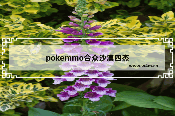 pokemmo合众沙漠四杰