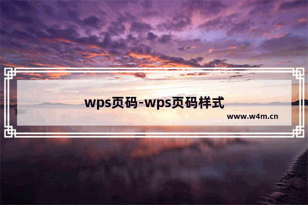 wps页码-wps页码样式