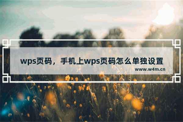 wps页码，手机上wps页码怎么单独设置