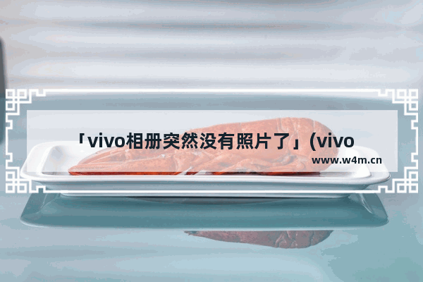 「vivo相册突然没有照片了」(vivo相册突然没有照片了怎么回事)