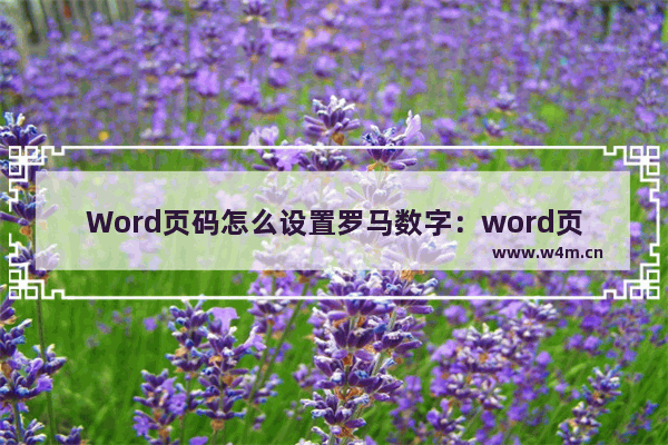 Word页码怎么设置罗马数字：word页码怎么设置罗马数字小写