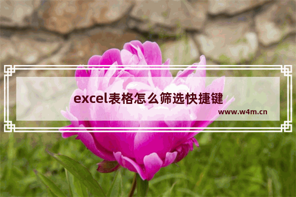 excel表格怎么筛选快捷键