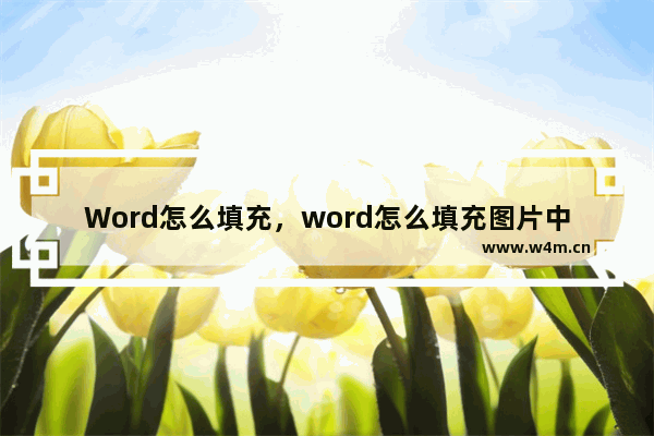 Word怎么填充，word怎么填充图片中的图片