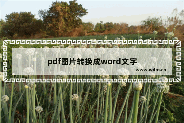 pdf图片转换成word文字