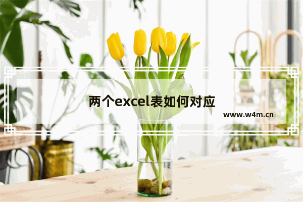 两个excel表如何对应