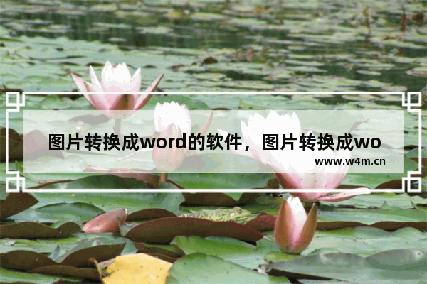 图片转换成word的软件，图片转换成word的软件破解版WIN10版