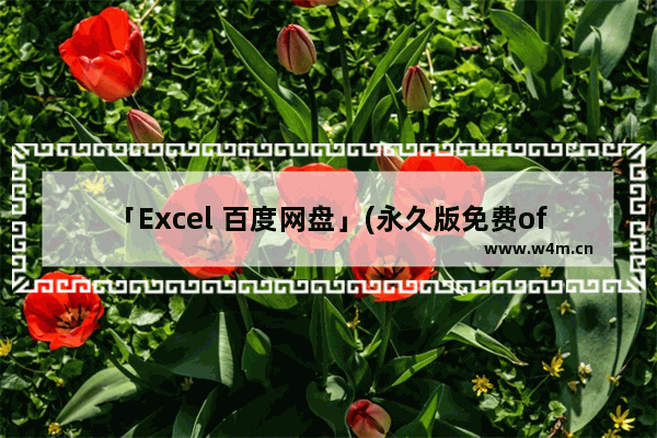 「Excel 百度网盘」(永久版免费office Excel 百度网盘)