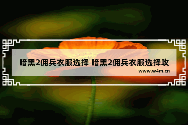 暗黑2佣兵衣服选择 暗黑2佣兵衣服选择攻略