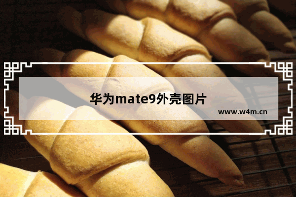 华为mate9外壳图片