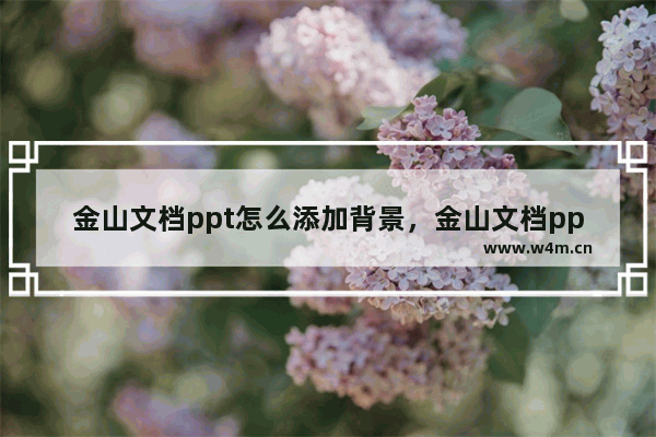 金山文档ppt怎么添加背景，金山文档ppt怎么添加背景音乐