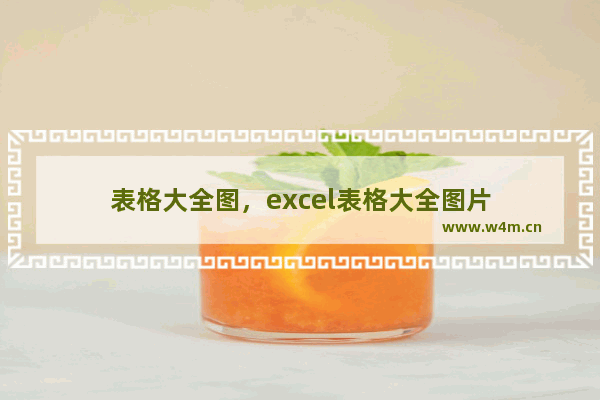 表格大全图，excel表格大全图片