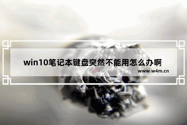 win10笔记本键盘突然不能用怎么办啊 Win10笔记本键盘失灵如何处理