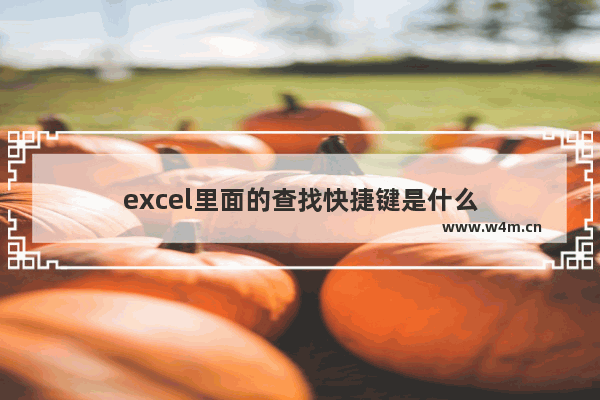 excel里面的查找快捷键是什么