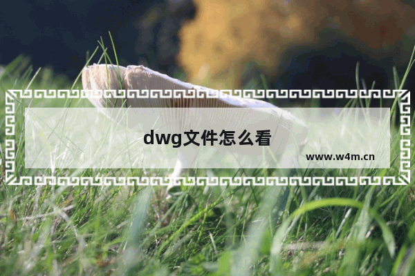 dwg文件怎么看