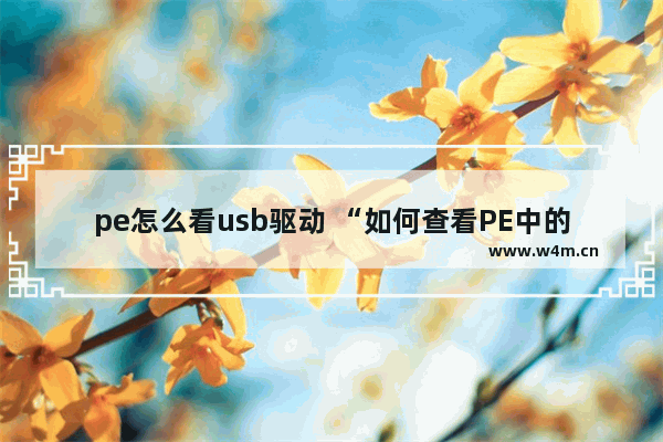 pe怎么看usb驱动 “如何查看PE中的USB驱动？”