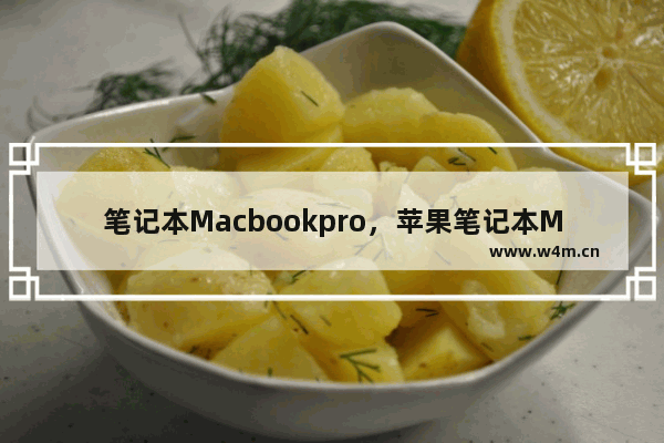 笔记本Macbookpro，苹果笔记本MacBookpro