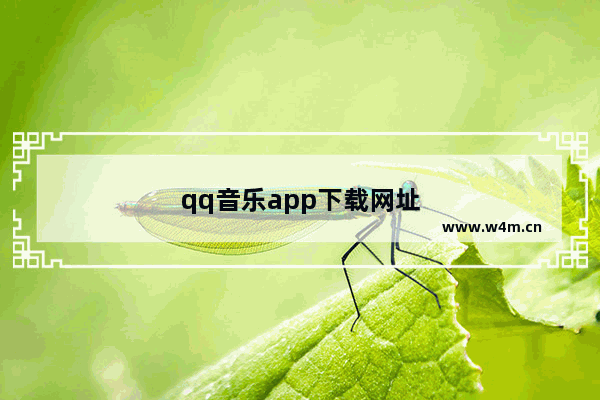 qq音乐app下载网址