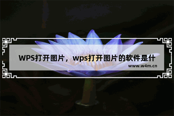 WPS打开图片，wps打开图片的软件是什么