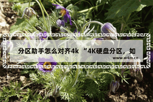 分区助手怎么对齐4k “4K硬盘分区，如何正确对齐？”