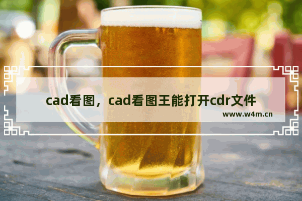 cad看图，cad看图王能打开cdr文件吗