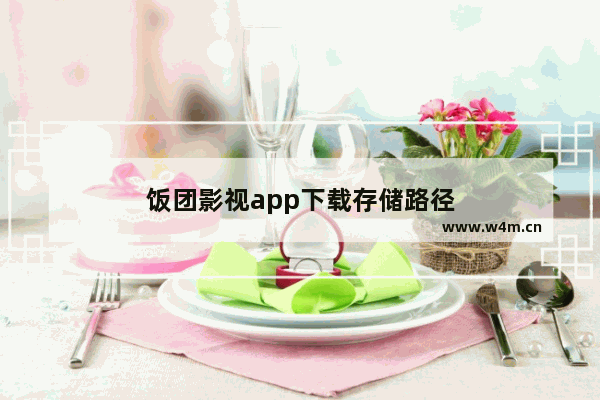 饭团影视app下载存储路径