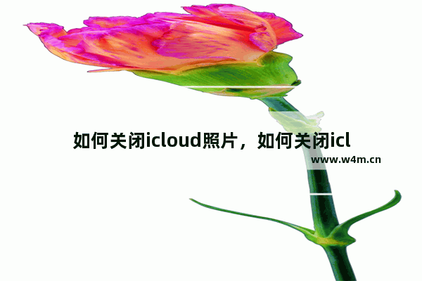 如何关闭icloud照片，如何关闭icloud照片自动上传