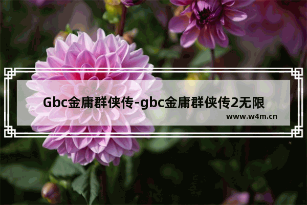 Gbc金庸群侠传-gbc金庸群侠传2无限经验