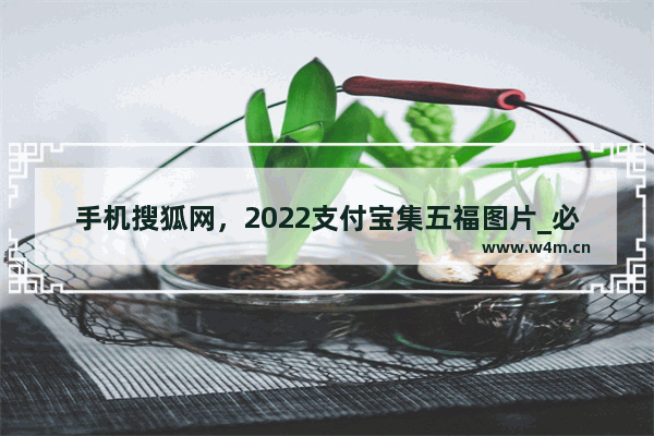 手机搜狐网，2022支付宝集五福图片_必出敬业福福字汇总_手机搜狐网