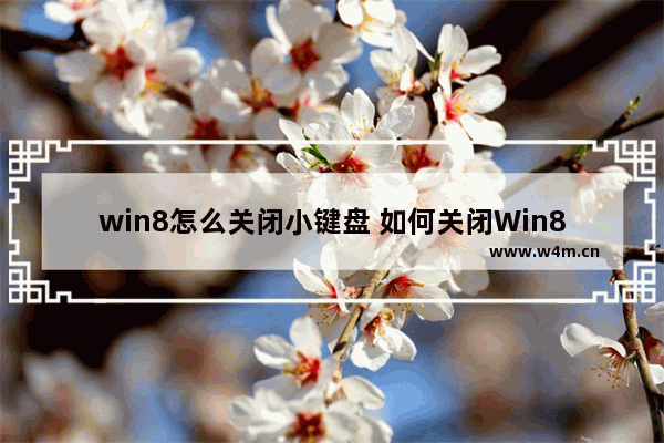 win8怎么关闭小键盘 如何关闭Win8小键盘