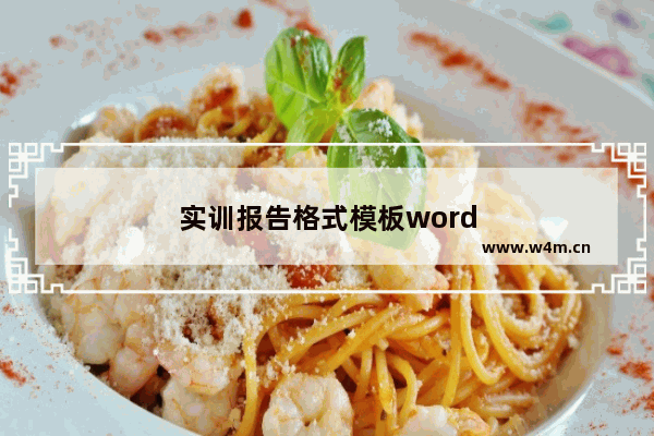 实训报告格式模板word