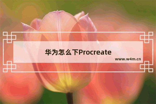 华为怎么下Procreate