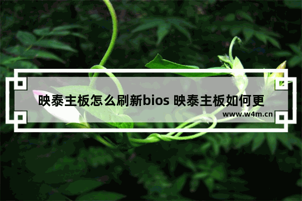 映泰主板怎么刷新bios 映泰主板如何更新BIOS