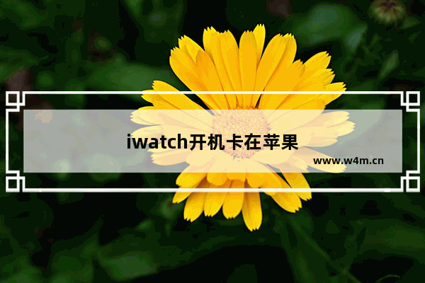 iwatch开机卡在苹果