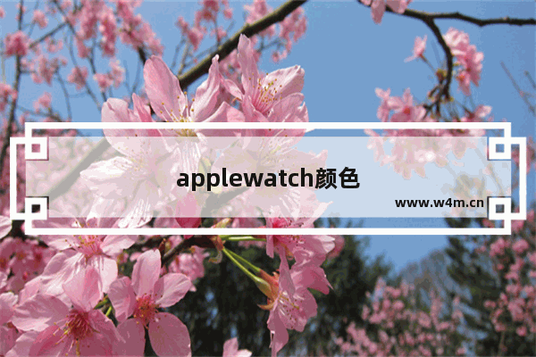 applewatch颜色