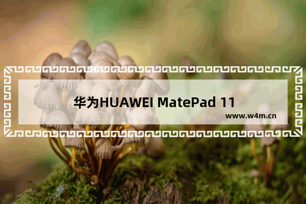 华为HUAWEI MatePad 11