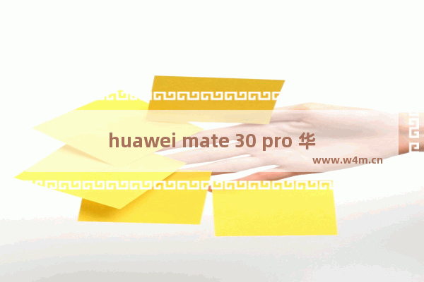 huawei mate 30 pro 华为 HUAWEI Mate 30 Pro